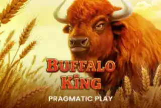 Buffalo King bei Bwin